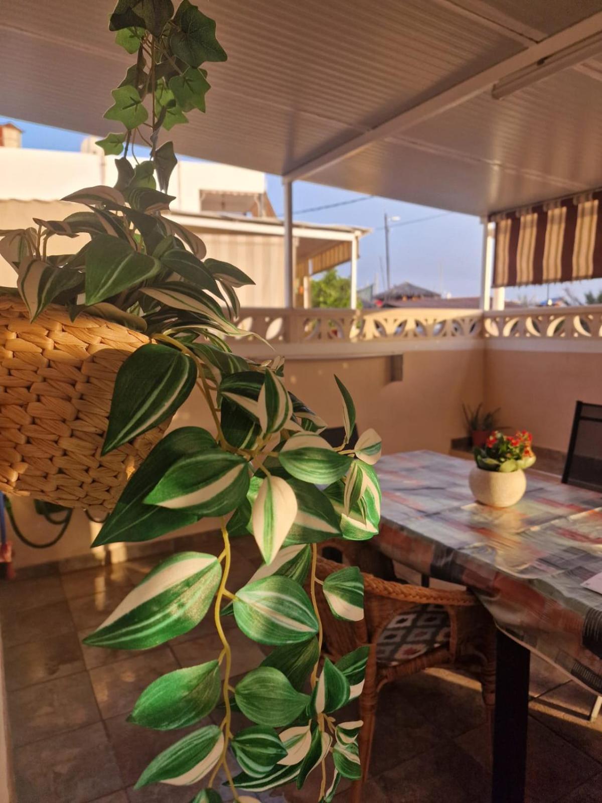 Lightbooking El Remo La Palma Ngoại thất bức ảnh